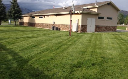 Lawn care maintenance services