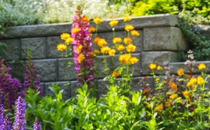 Lawn Care, maintenance