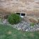 Low maintenance flower Beds