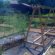 Low maintenance Vegetable Gardening