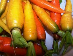 kaliedoscope carrots
