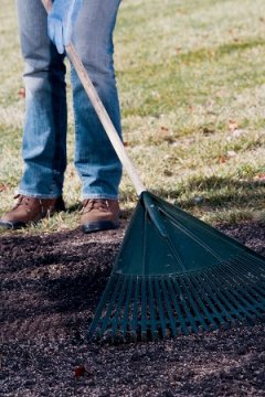 Lawn Care Tips & Schedule