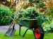 Garden Maintenance Services