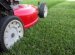 Lawn Care and maintenance