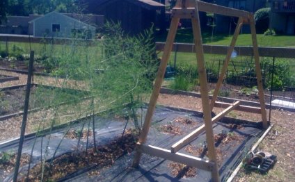 Low maintenance Vegetable Gardening