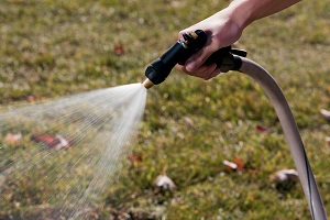 Spring Grass & Mower Maintenance Tips