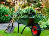 Garden Maintenance Services