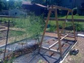Low maintenance Vegetable Gardening