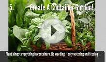 Create a Low Maintenance Garden - 5 Quick Gardening Ideas