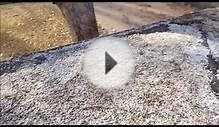 Gravel Roof Maintenance Explained by a Dallas Home